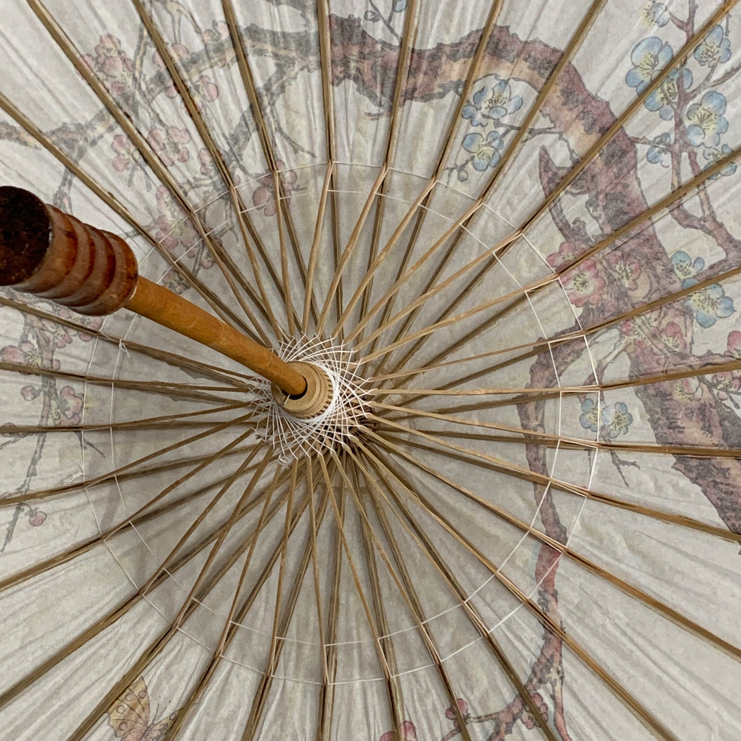 Vintage Rice Paper Parasol with Cherry Blossom Design and Scalloped Edge