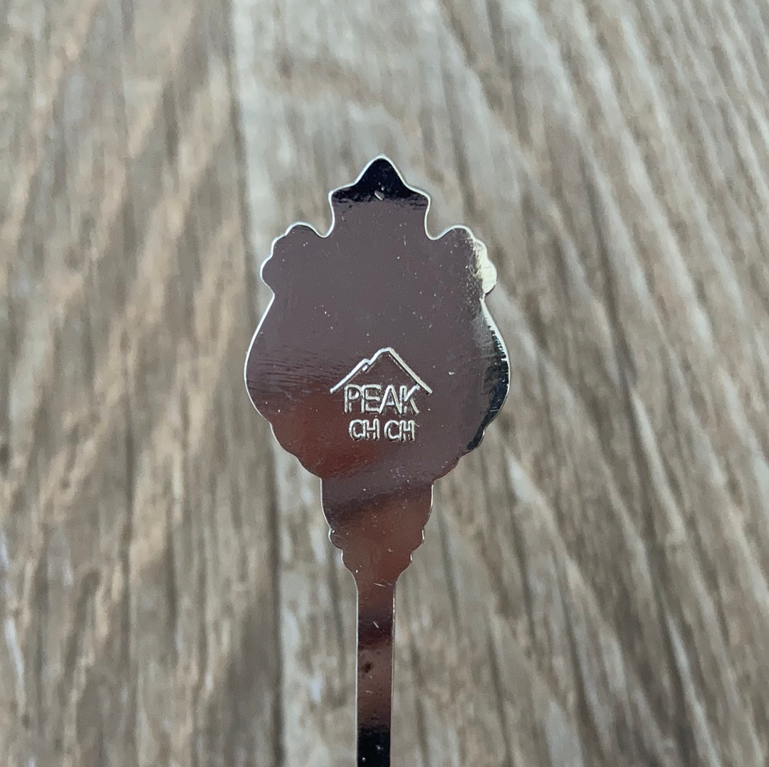 New Zealand Autumn Vintage Souvenir Spoon Collectible