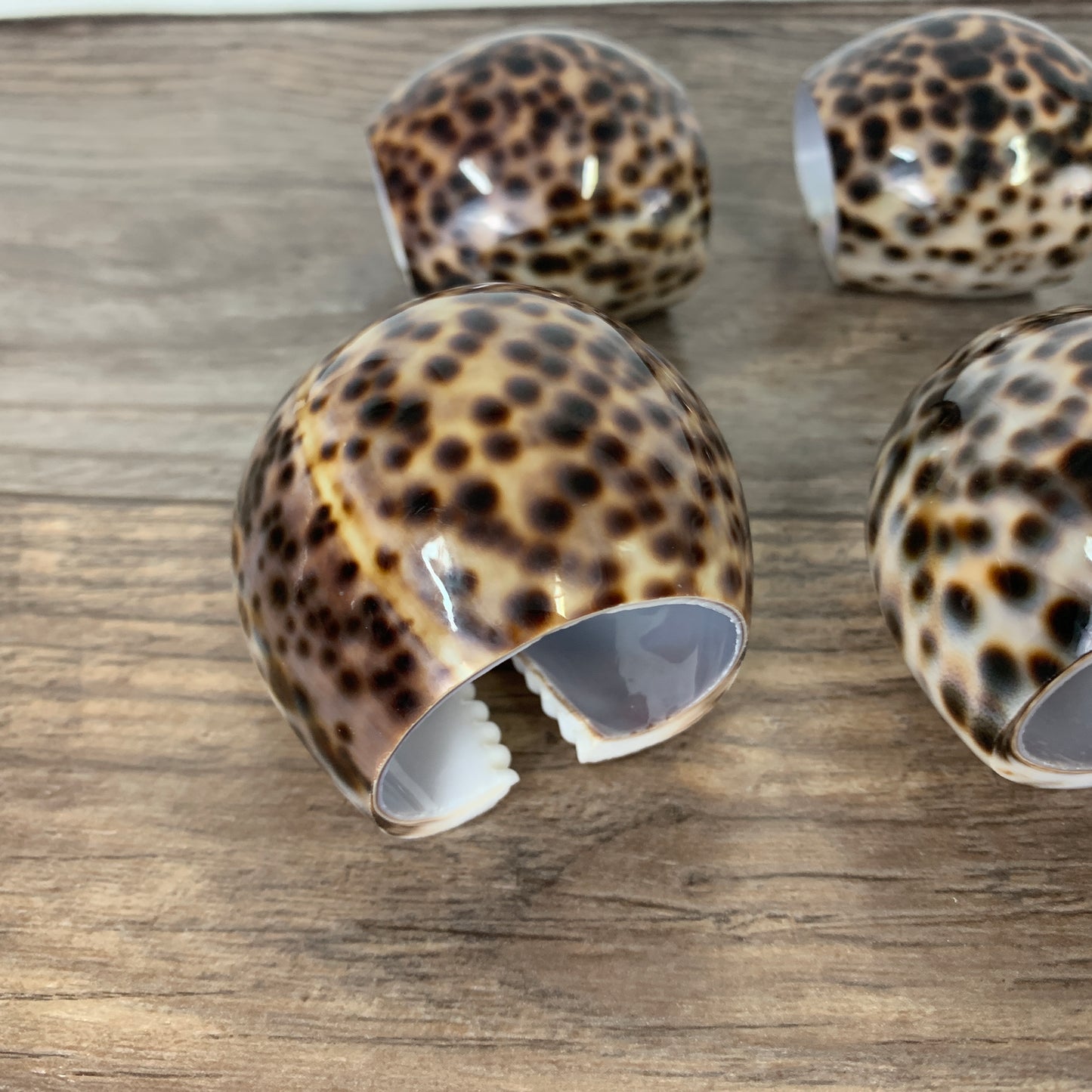 Cowrie Shell Napkin Rings Set of 10, Beach Theme Table Decor