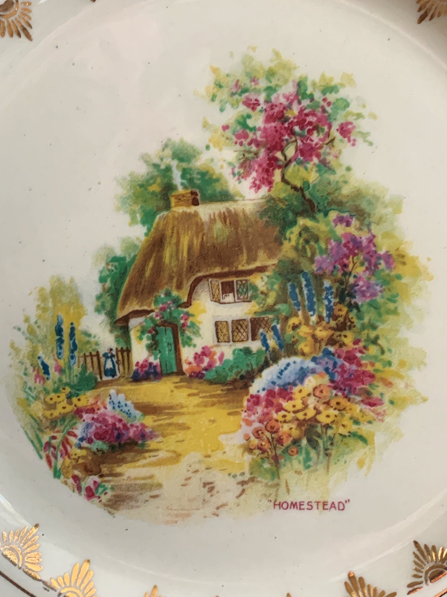 Vintage China Plate Homestead"