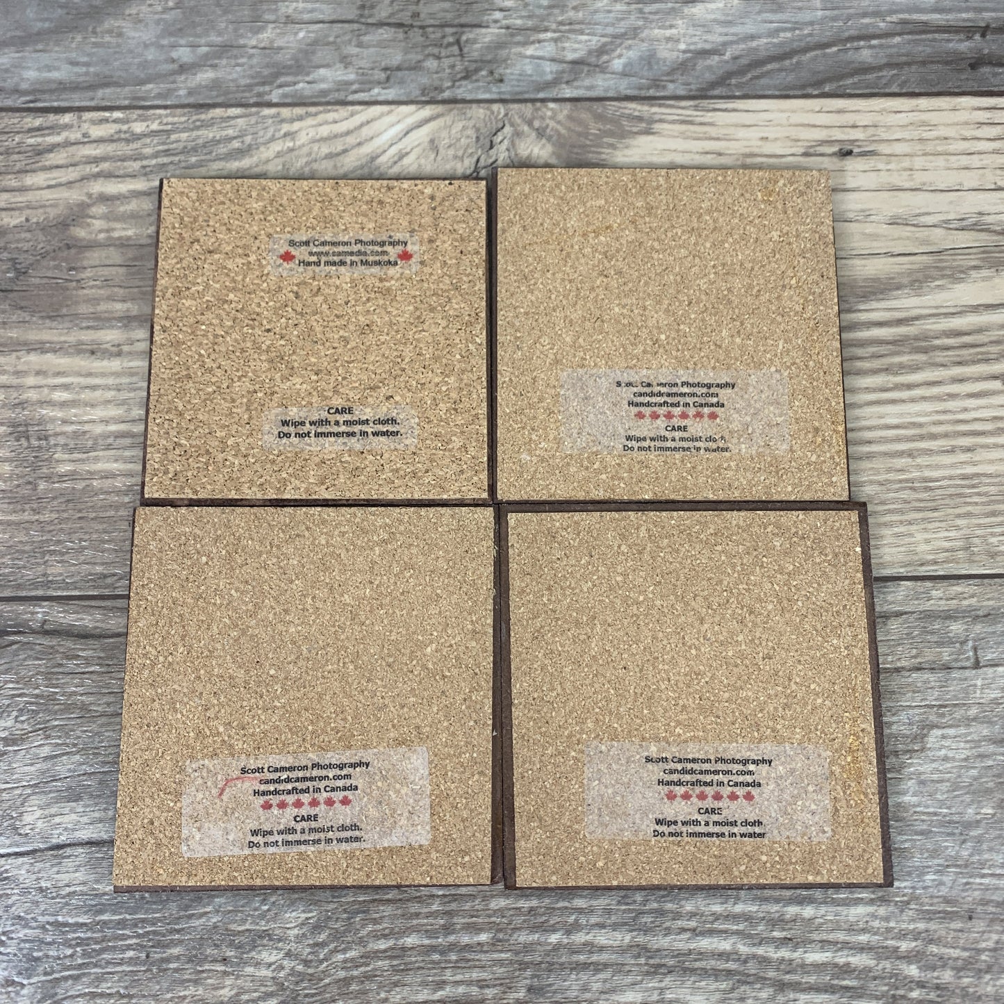 Set of 4 Cork Backed Coasters with Autumn Landscape Scenes