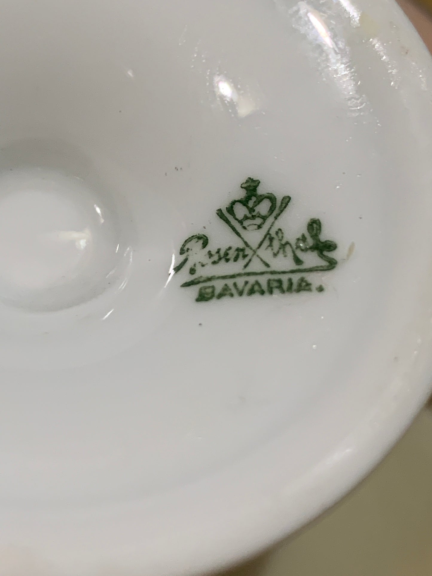 Rosenthal Hand Painted Tea Cup and Saucer with Grape Pattern Bavaria China Teacup
