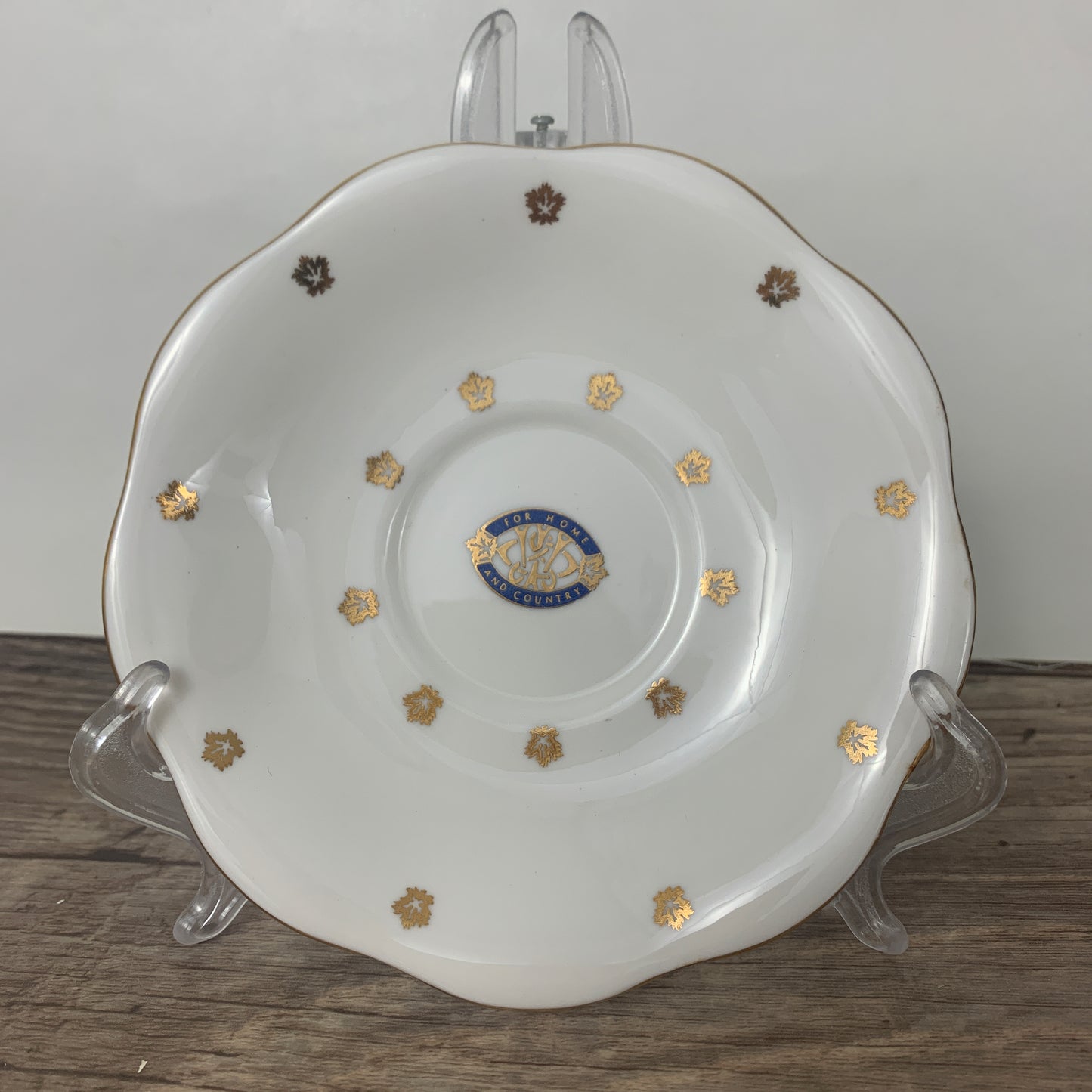 White and Gold Vintage Teacup and Saucer For Home and Country EB Foley