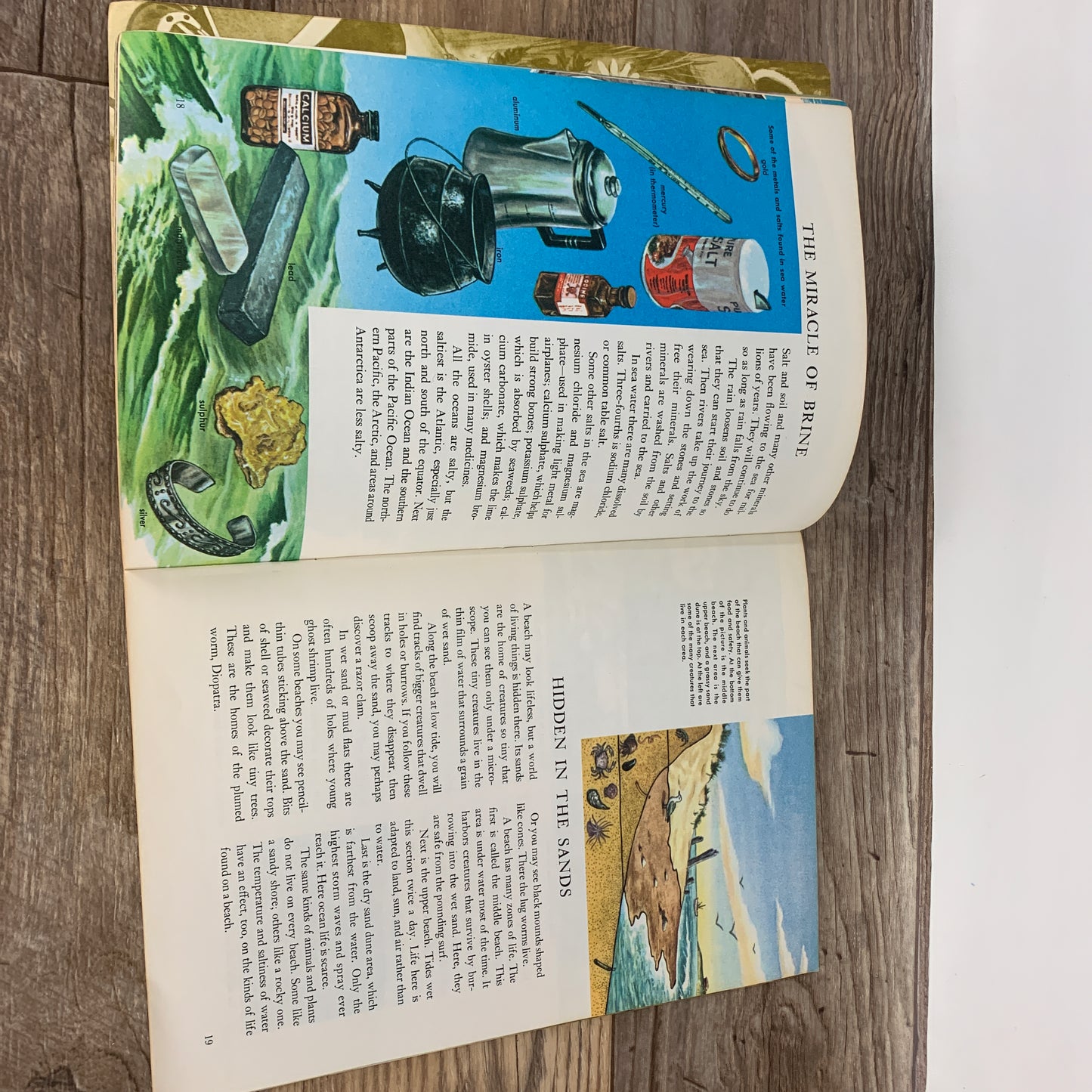 Vintage Golden Exploring Earth Book Oceanography, Underwater Exploration Vintage School Book