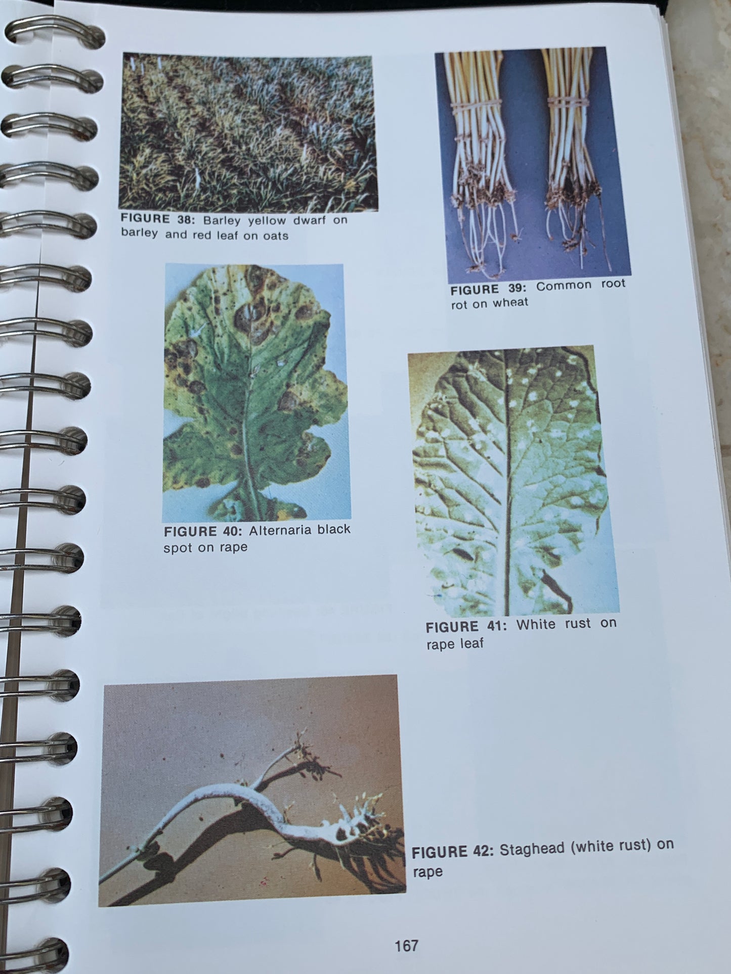 1976 Alberta Farm Guide Vintage Farm Guide