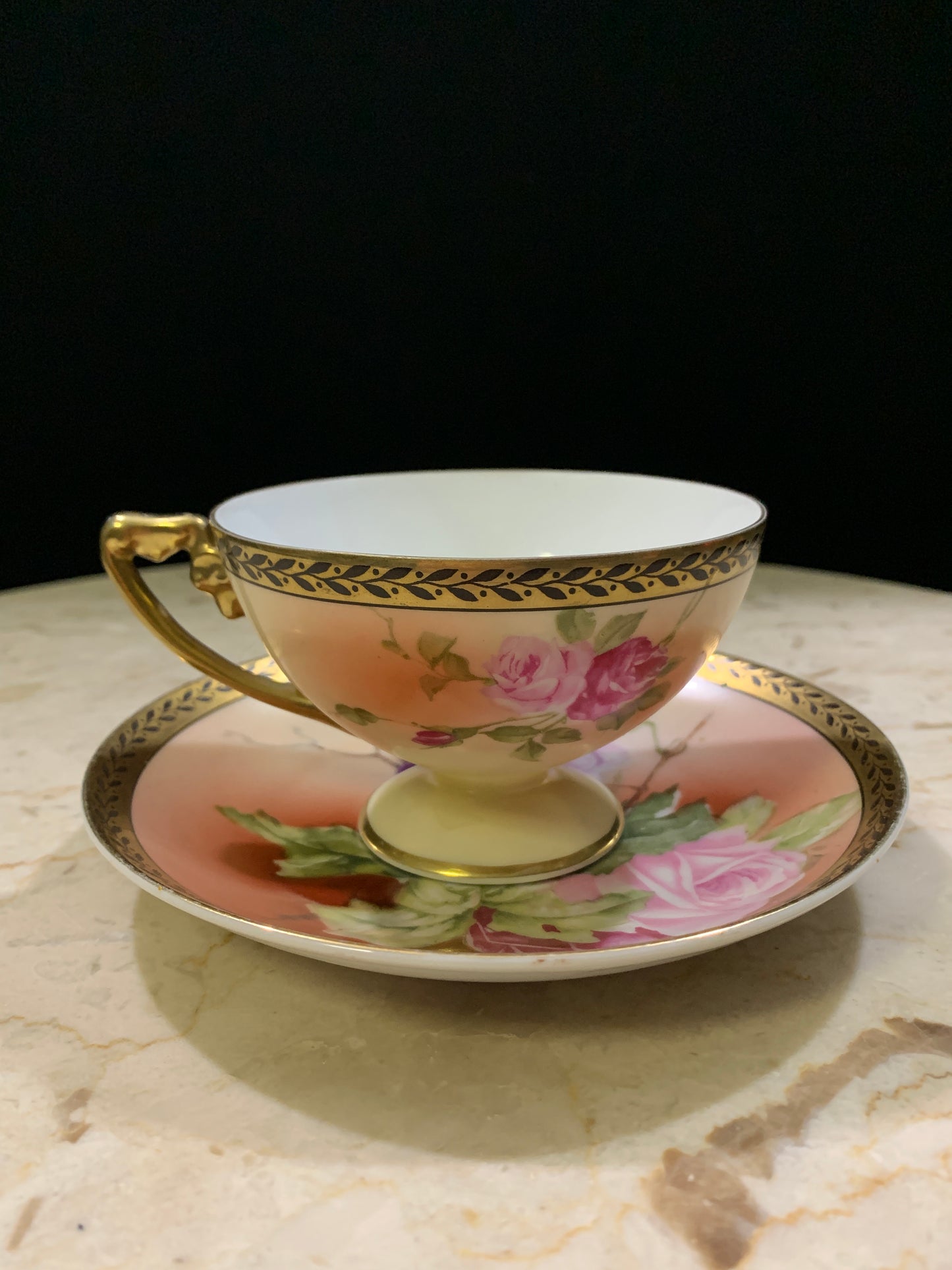 Rosenthal Hand Painted Tea Cup and Saucer with Grape Pattern Bavaria China Teacup