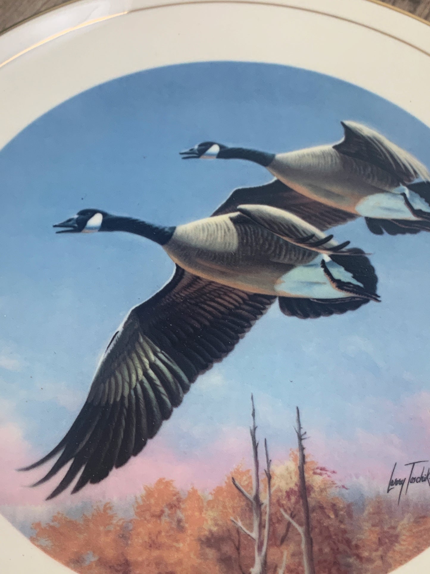 Ducks Unlimited 1987 Canada Geese Collector Plate Larry Toschik