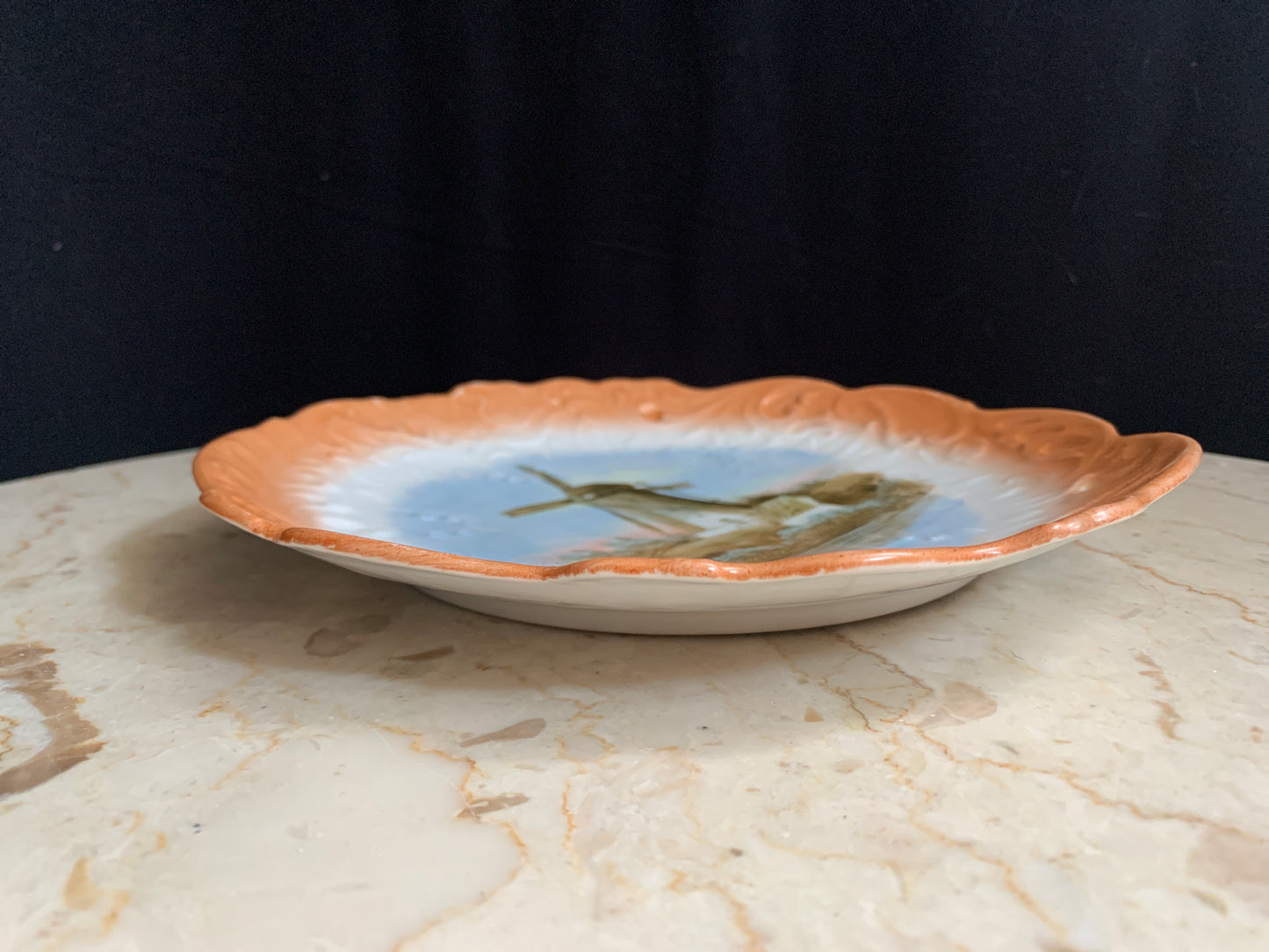 Antique Porcelain Plate