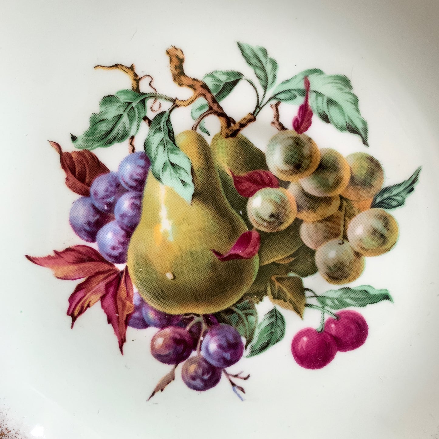 Royal Grafton Replacement Saucer Pale Green Saucer with Pears and Grapes