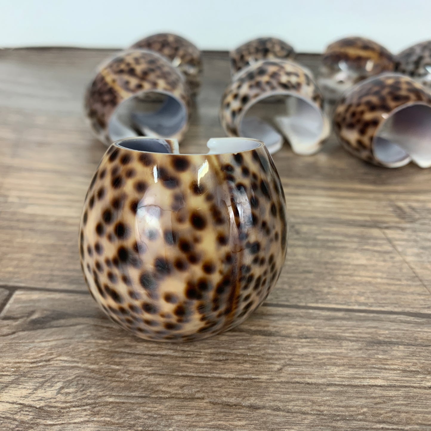 Cowrie Shell Napkin Rings Set of 10, Beach Theme Table Decor