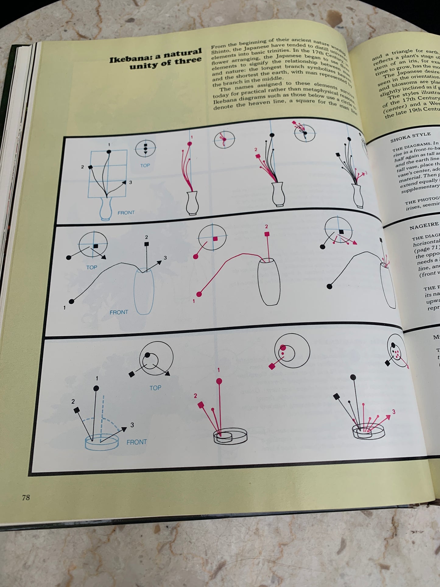 Decorating with Plants Vintage Reference Book Flower Arranging