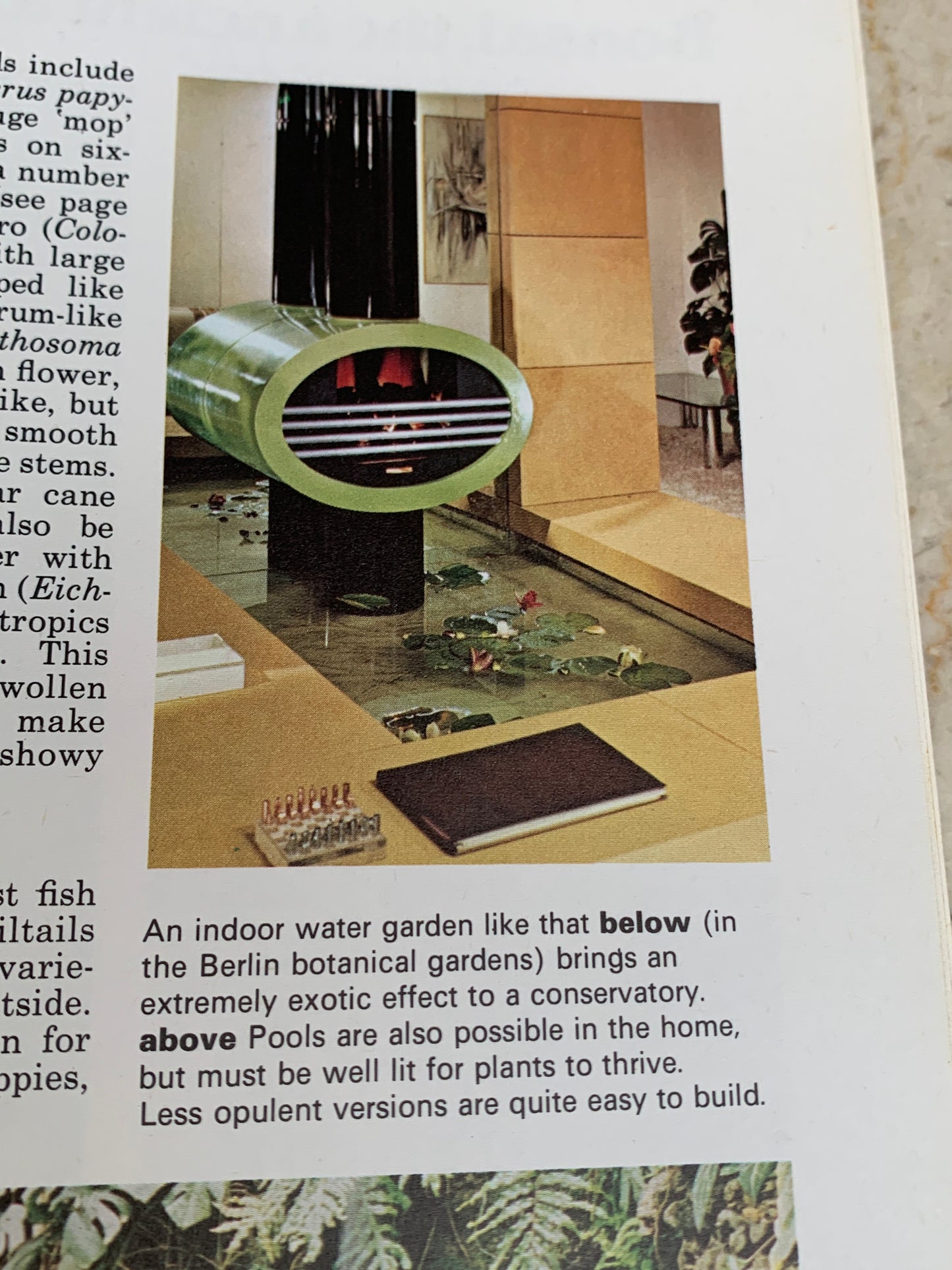 The Complete Indoor Gardener