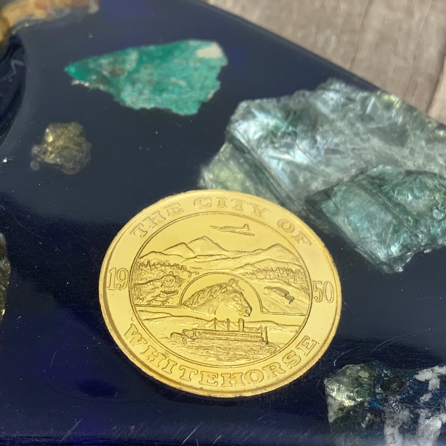 Rocks and Minerals of Whitehorse Vintage Travel Souvenir Cup Holder