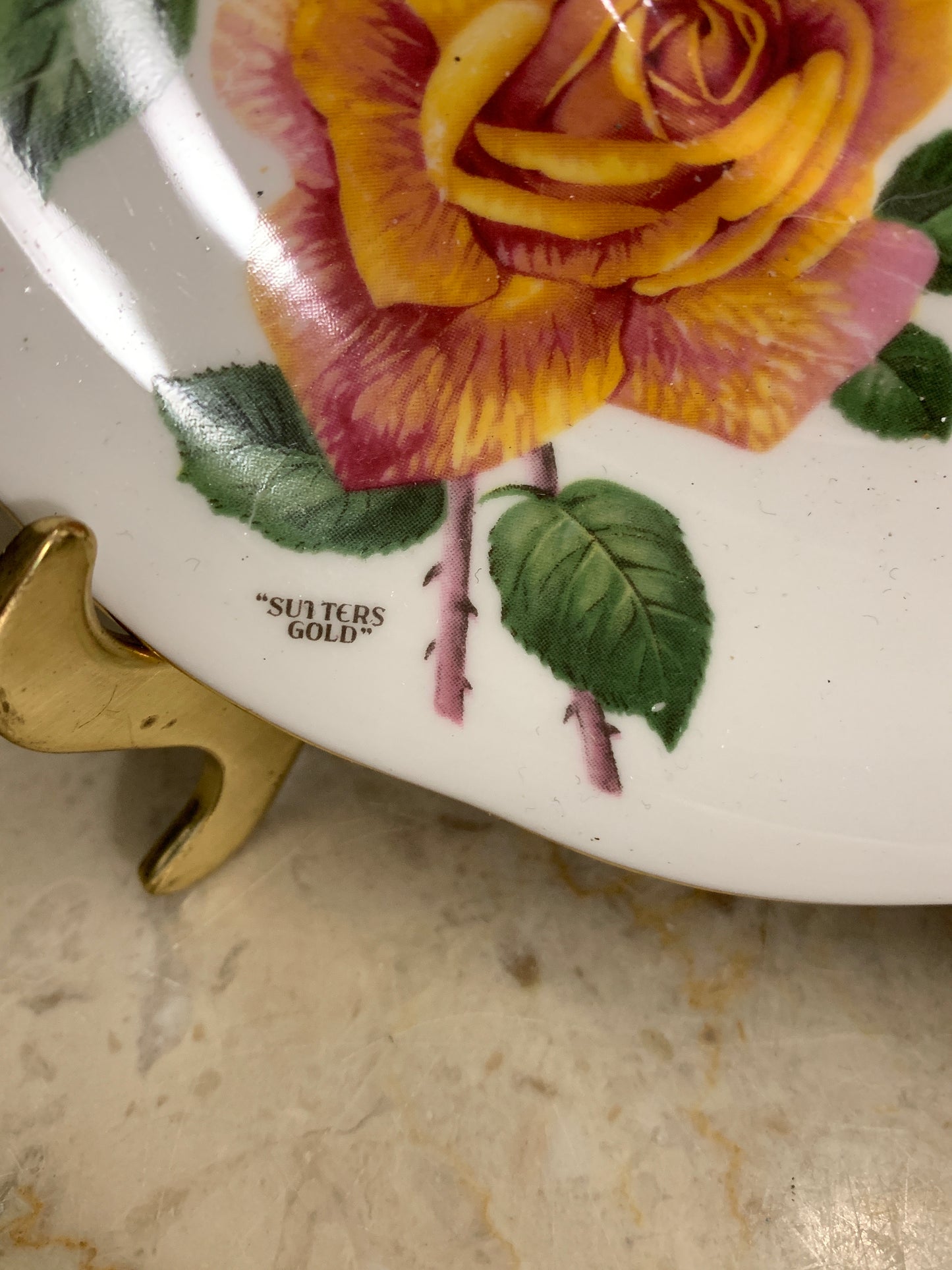 Royal Roses Vintage Tea Cup and Saucer White Teacup with Yellow and Pink Roses