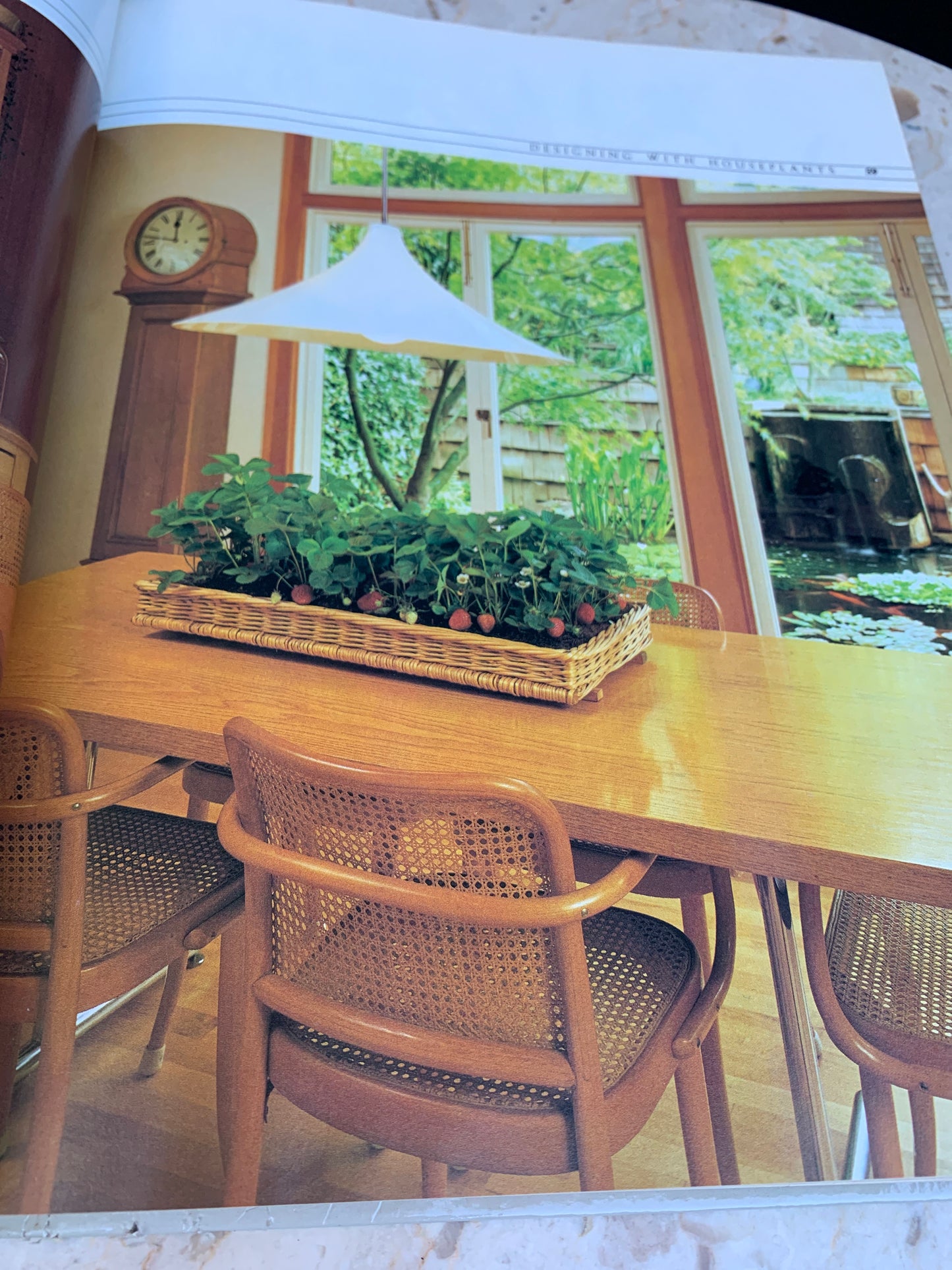 Successful Houseplants Home Gardening Tips and Tricks Vintage Decorating Book