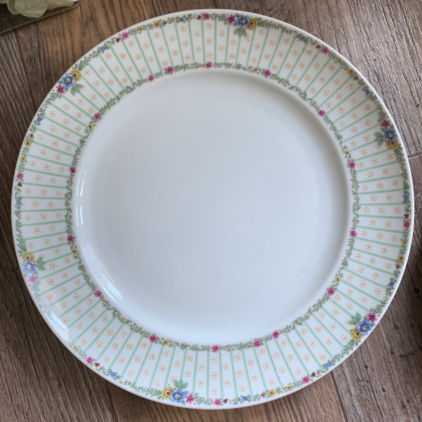 Royal Tettau Pair of Dinner Plates 10.5" diameter Banded Rim with Tiny Flower Vine Trim