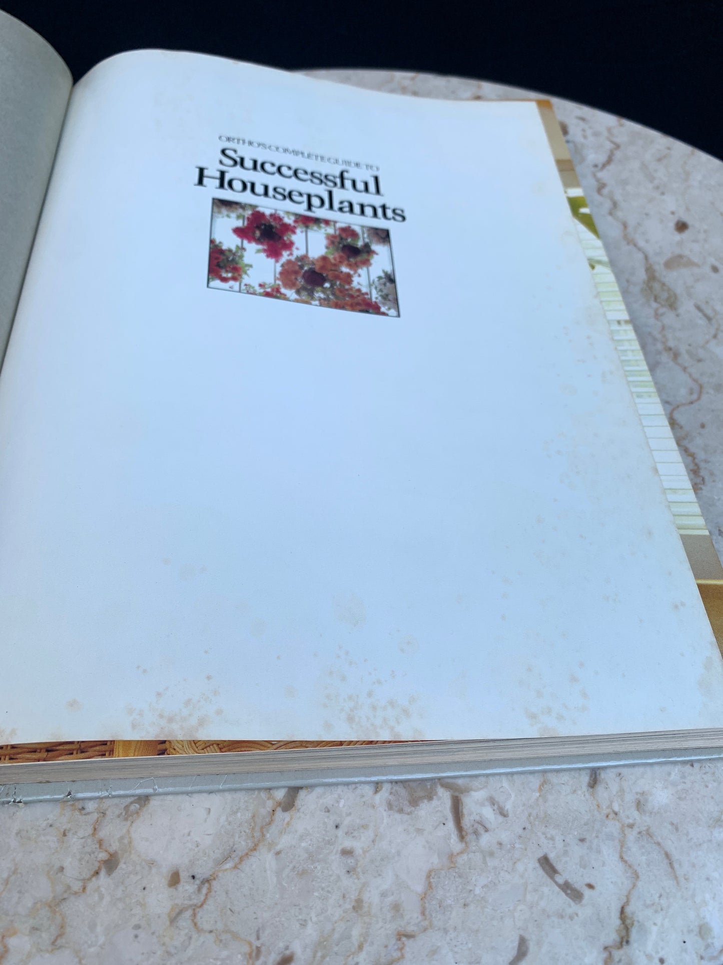 Successful Houseplants Home Gardening Tips and Tricks Vintage Decorating Book