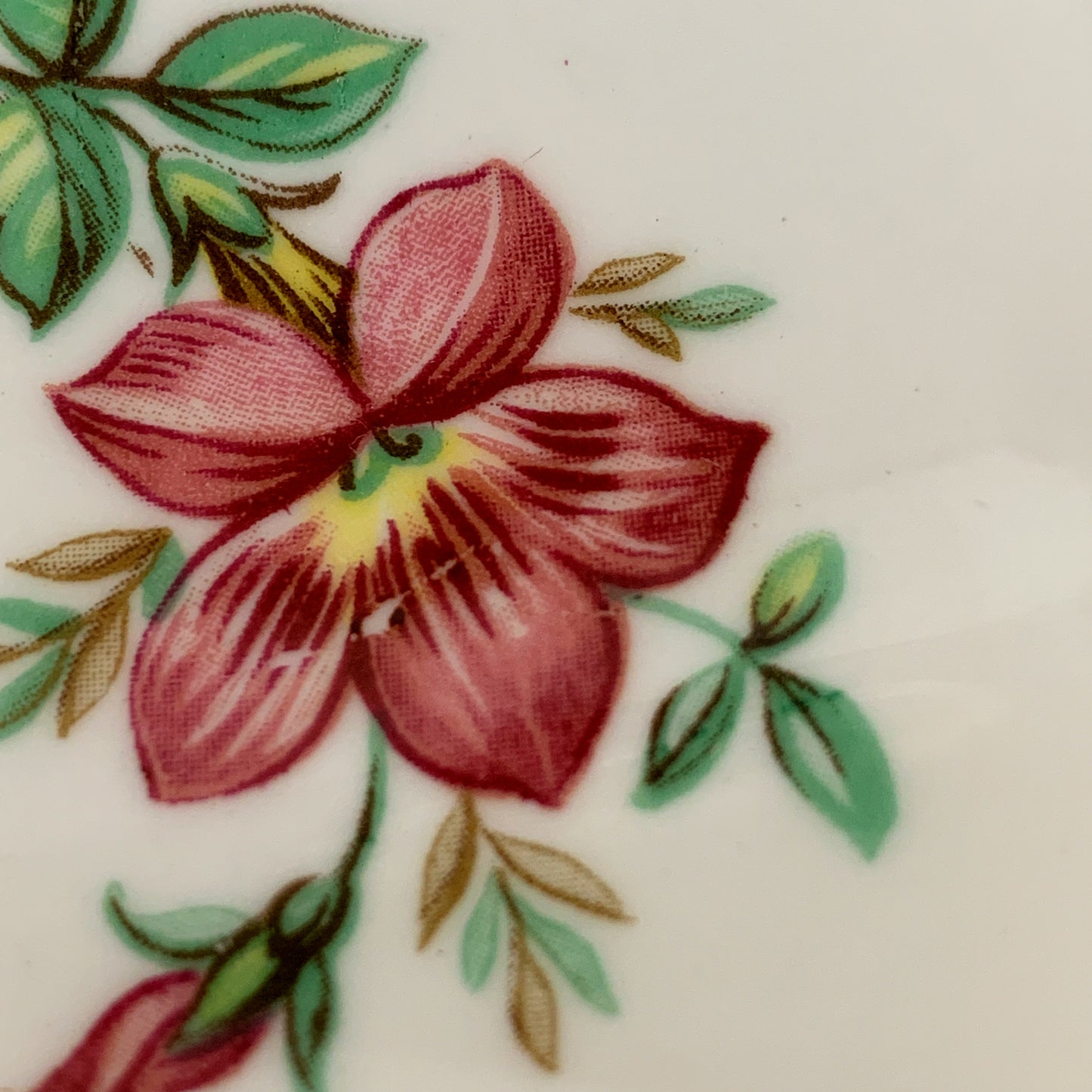 White Tea Cup with Pink Floral Design and Scalloped Edge