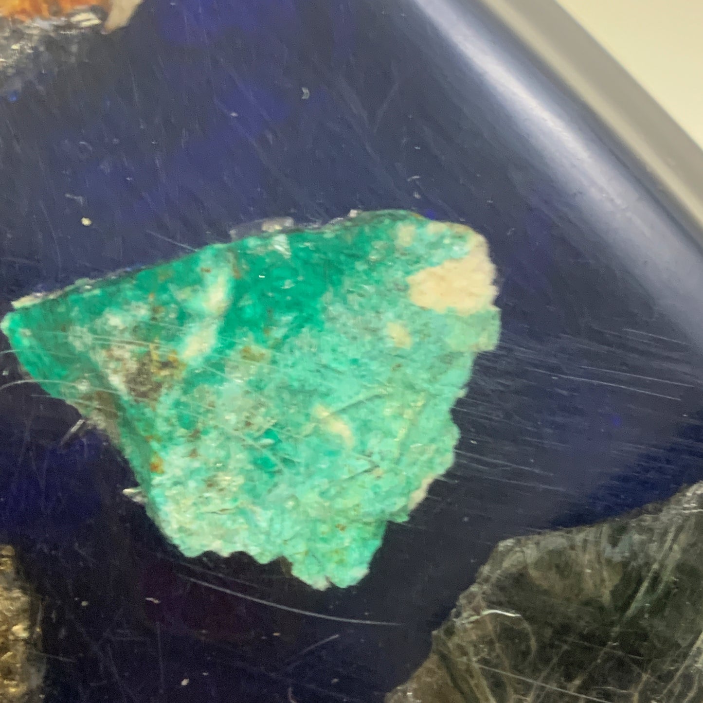 Rocks and Minerals of Whitehorse Vintage Travel Souvenir Cup Holder