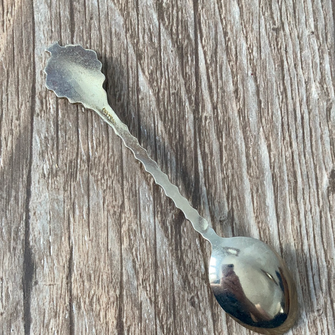 Havelock New Brunswick Canada with Purple Violets Collectible Vintage Souvenir Spoon