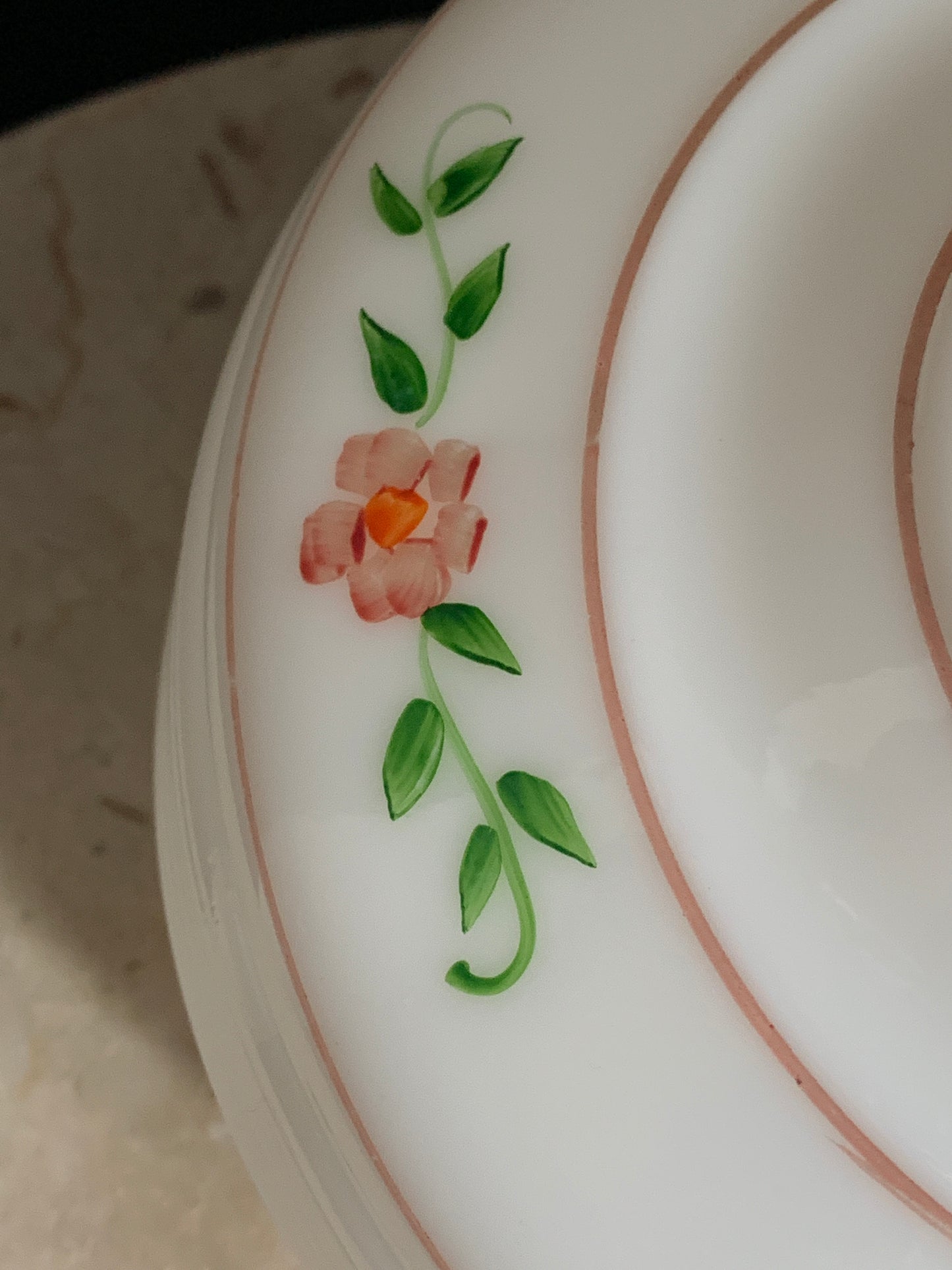 Hand Painted Milk Glass Light Cover