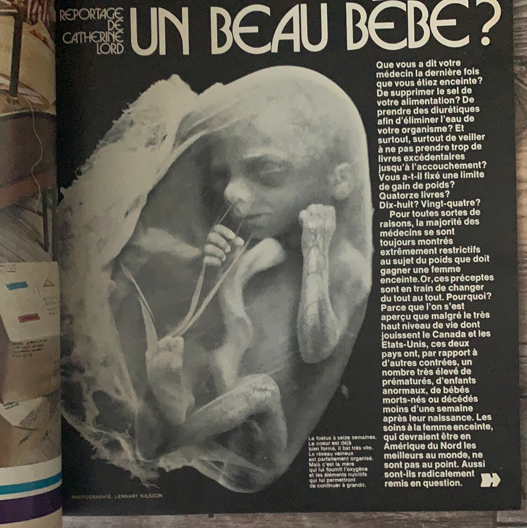 Vintage French Chatelaine Magazine August 1974