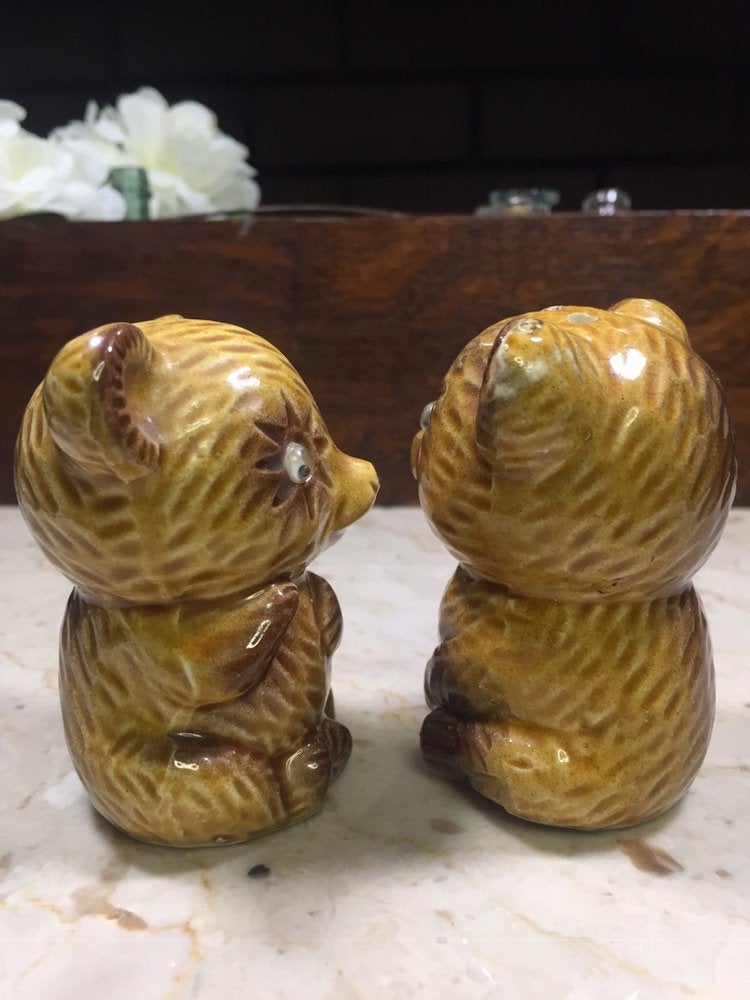 Bear Shaped Salt and Pepper Shakers with Googly Eyes