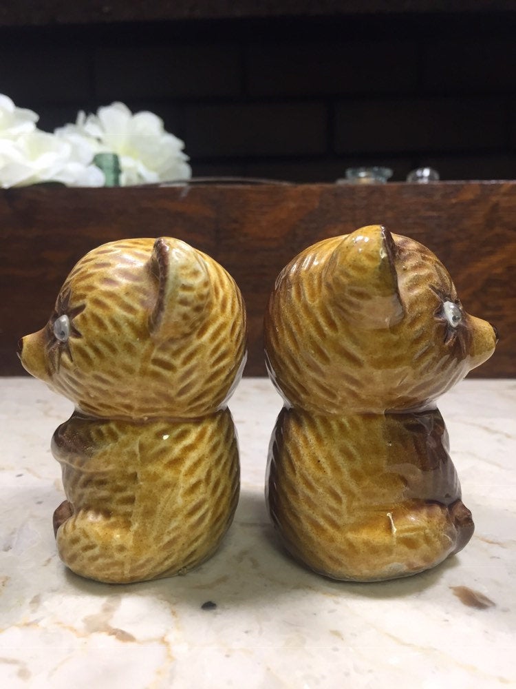 Bear Shaped Salt and Pepper Shakers with Googly Eyes