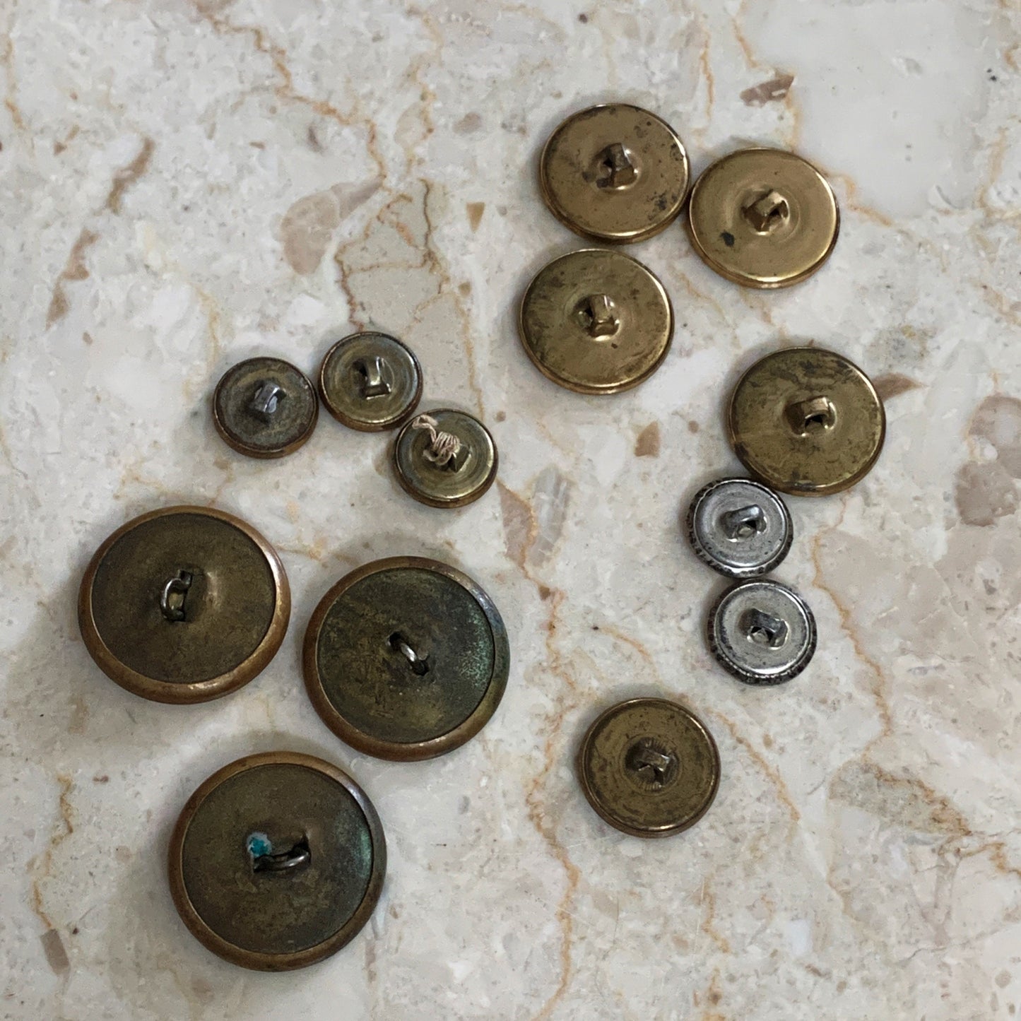 Vintage Brass Button Lot of 11 Spectemur Agendo Lion Crest