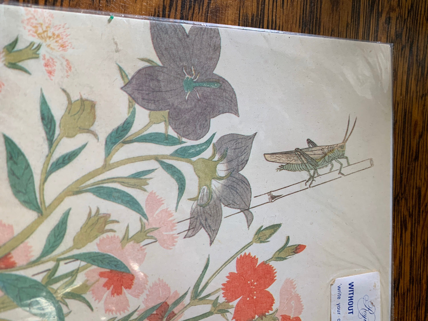 Vintage Greeting Card British Museum Gift Shop Card Balloon Flower, Platycodon, Ehon Mushi Erabi Kitawaga Utamaro