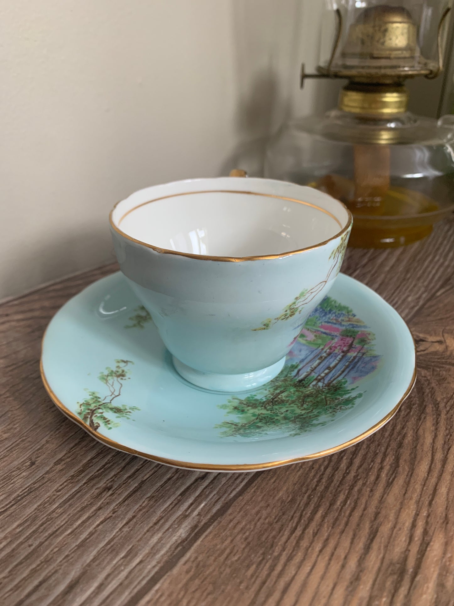 Blue Vintage Teacup with River Scene Aynsley Tea Cup