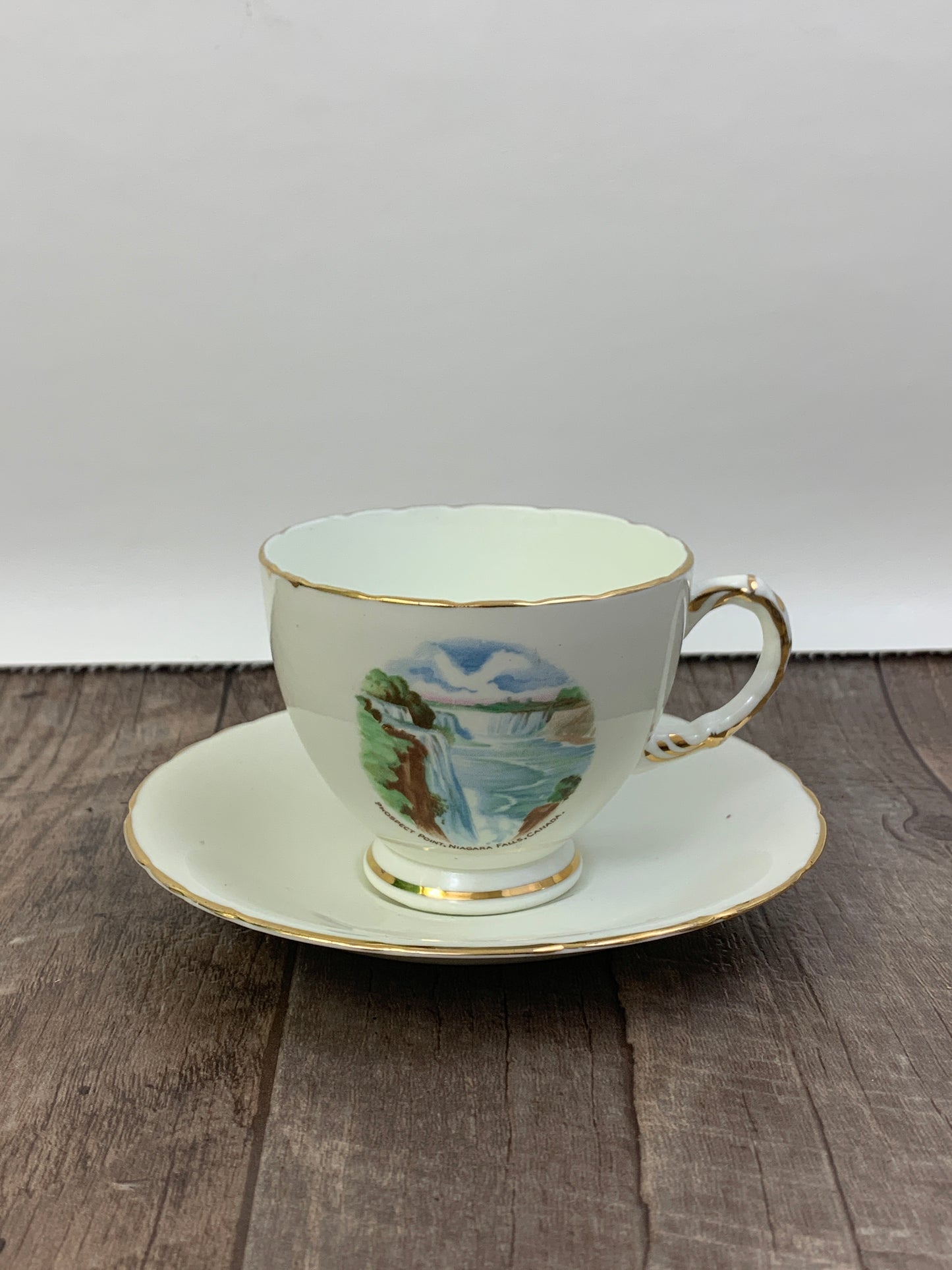 Vintage Teacup with Scenes from Niagara Falls, Niagara Falls Souvenir