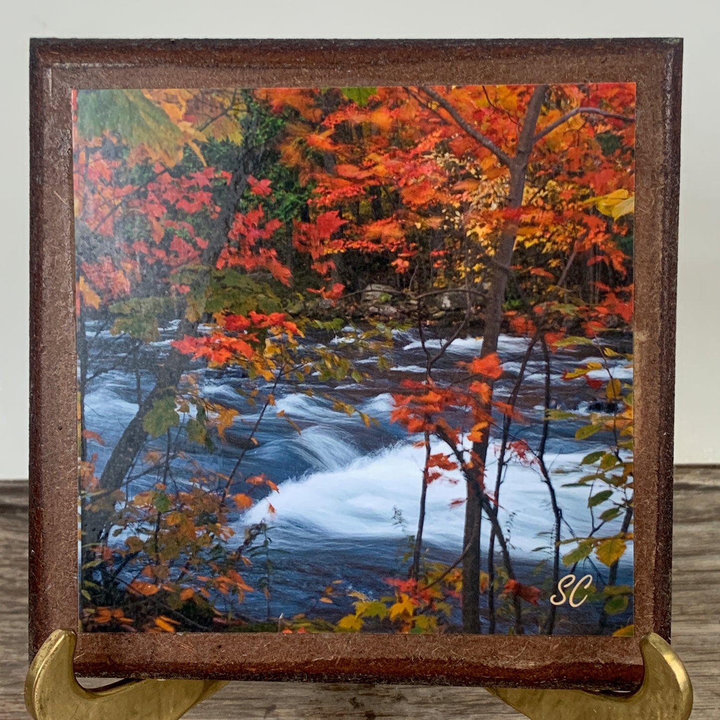 Set of 4 Cork Backed Coasters with Autumn Landscape Scenes