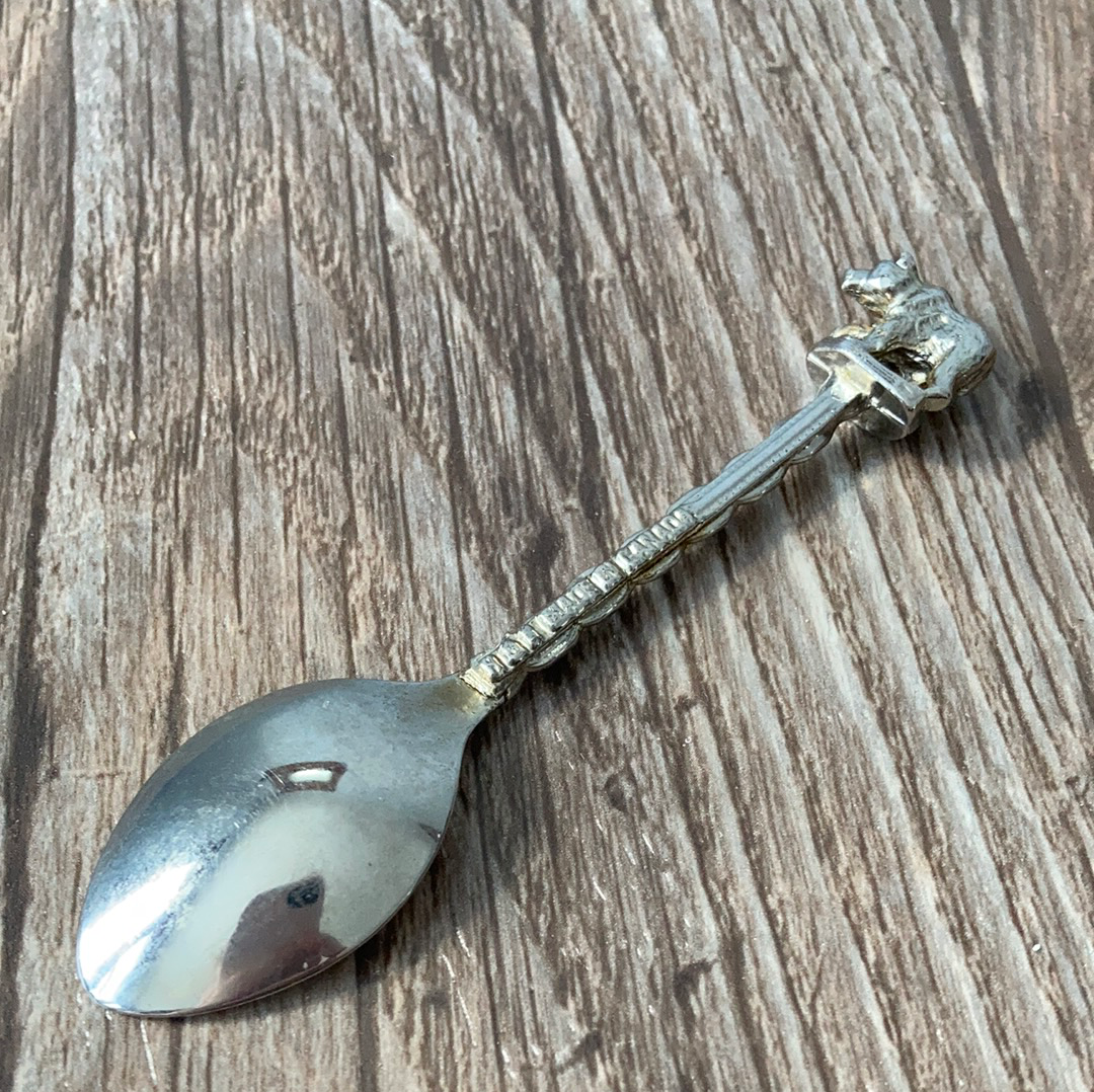 Johnston Canyon, Banff, Alberta, Canada Collectible Souvenir Spoon