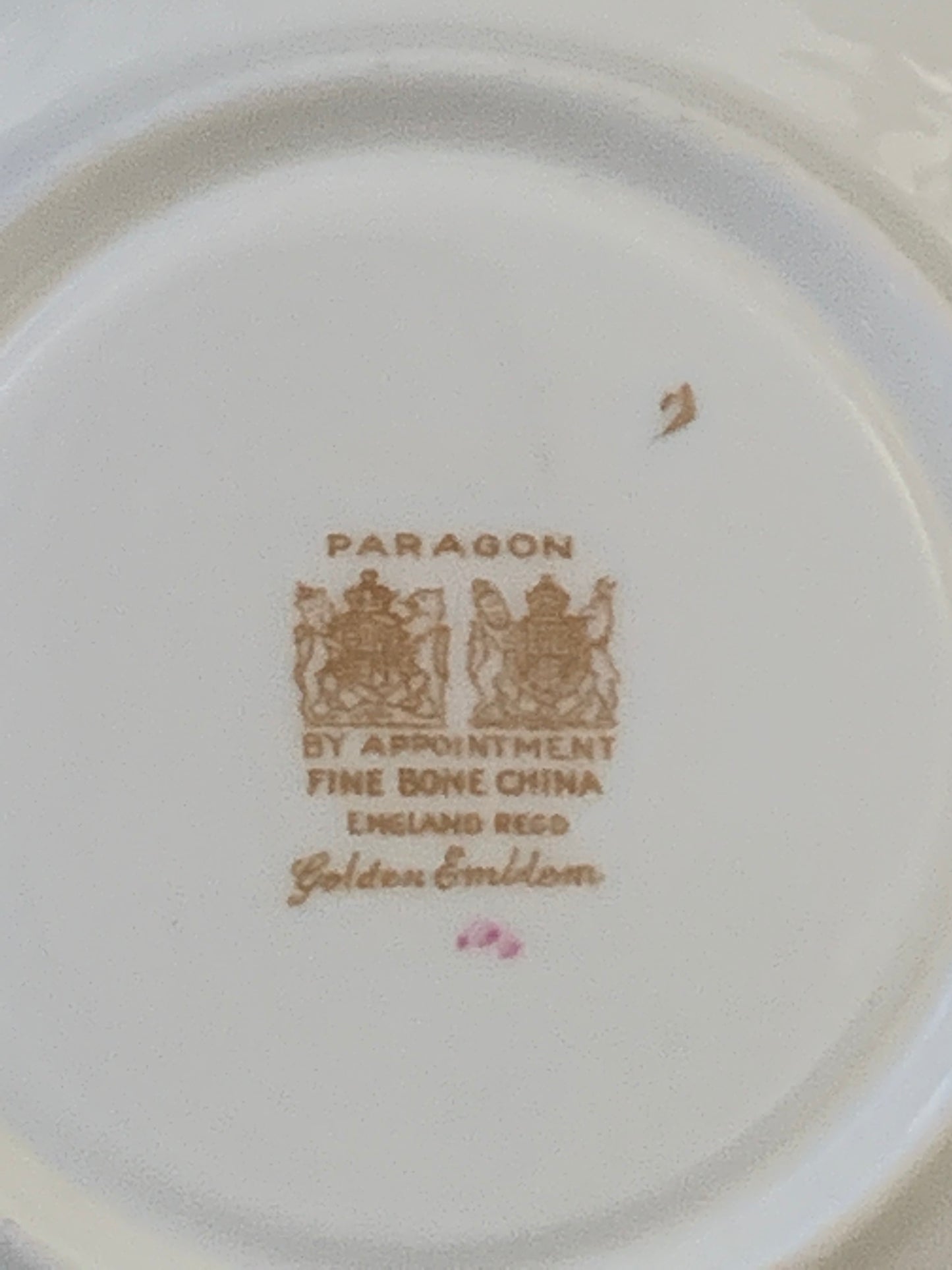Paragon Double Warrant Tea Cup with Large Peach Roses