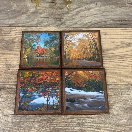 Set of 4 Cork Backed Coasters with Autumn Landscape Scenes