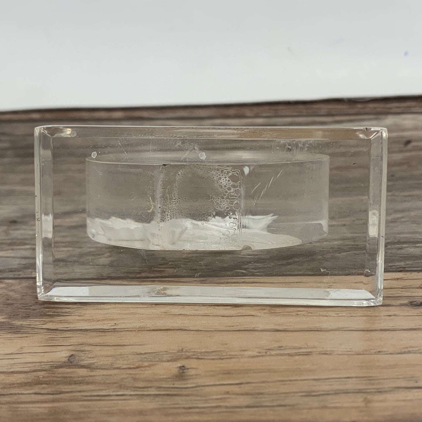 Small Lucite Desk Decor with Etched Bird