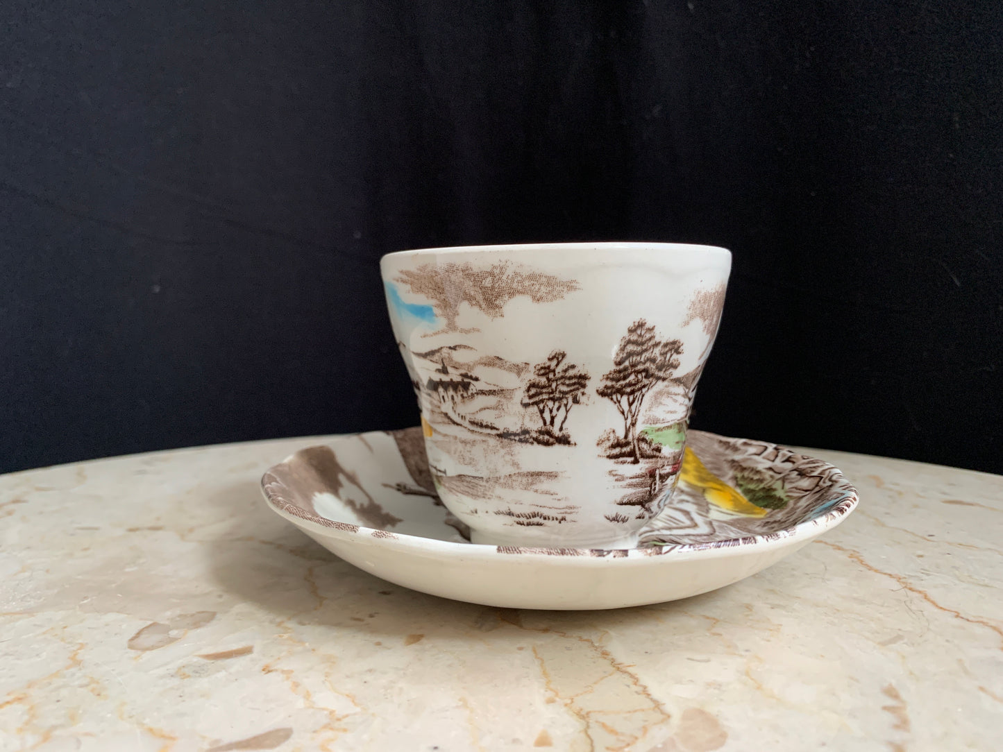 WH Grindley Transferware A Quiet Day Teacup and Saucer Transferware Antique Farmhouse Decor