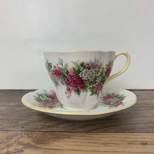 Vintage Royal Albert Teacup and Saucer Blossom Time Series Hawthorn