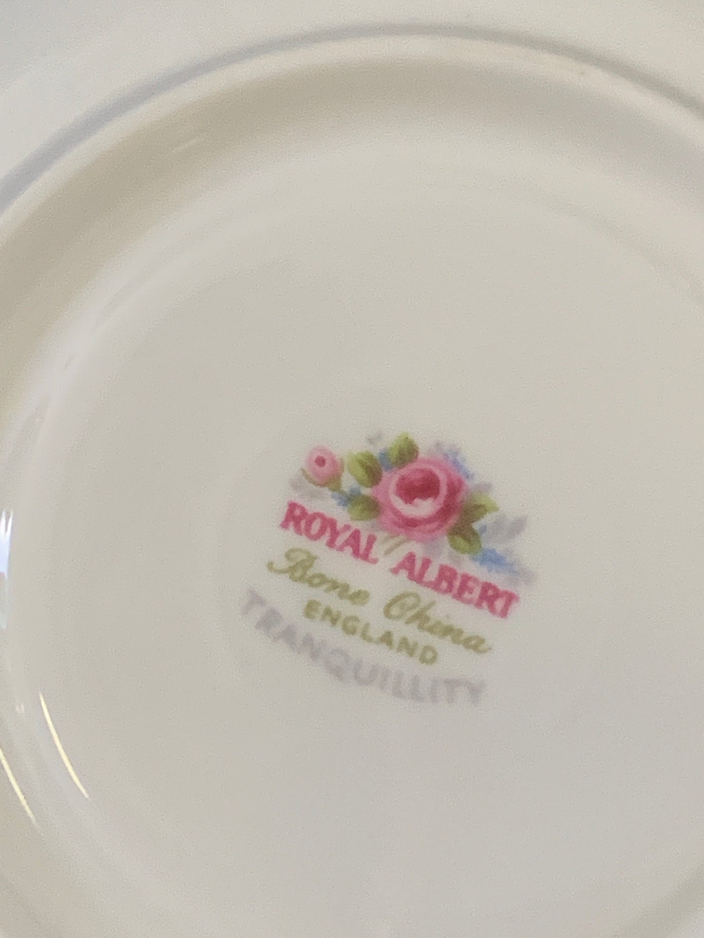 Royal Albert Tranquility Teacup and Saucer Set Pink Floral Teacup