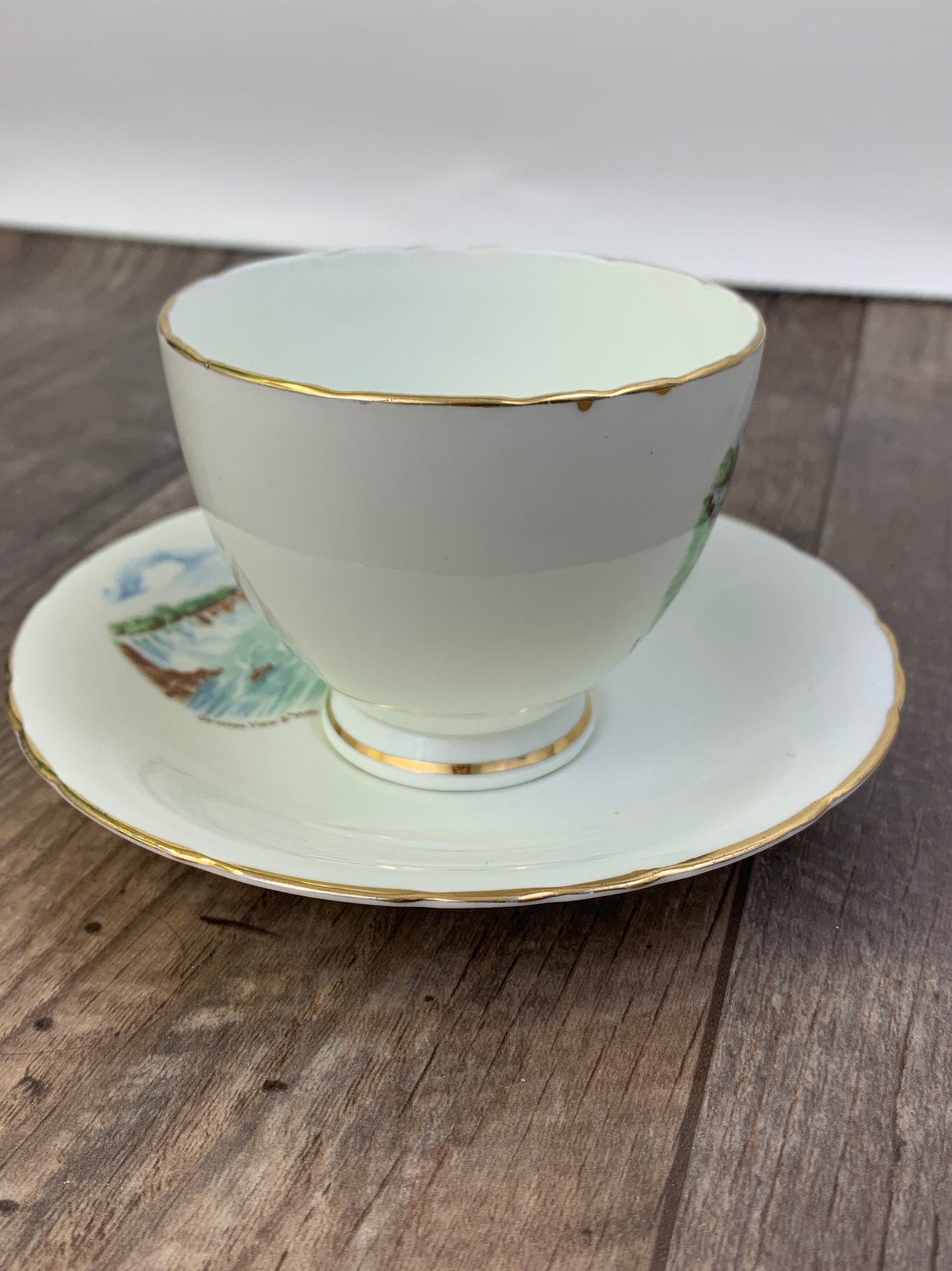 Vintage Niagara Falls Maid of the Mist Souvenir Teacup and Saucer