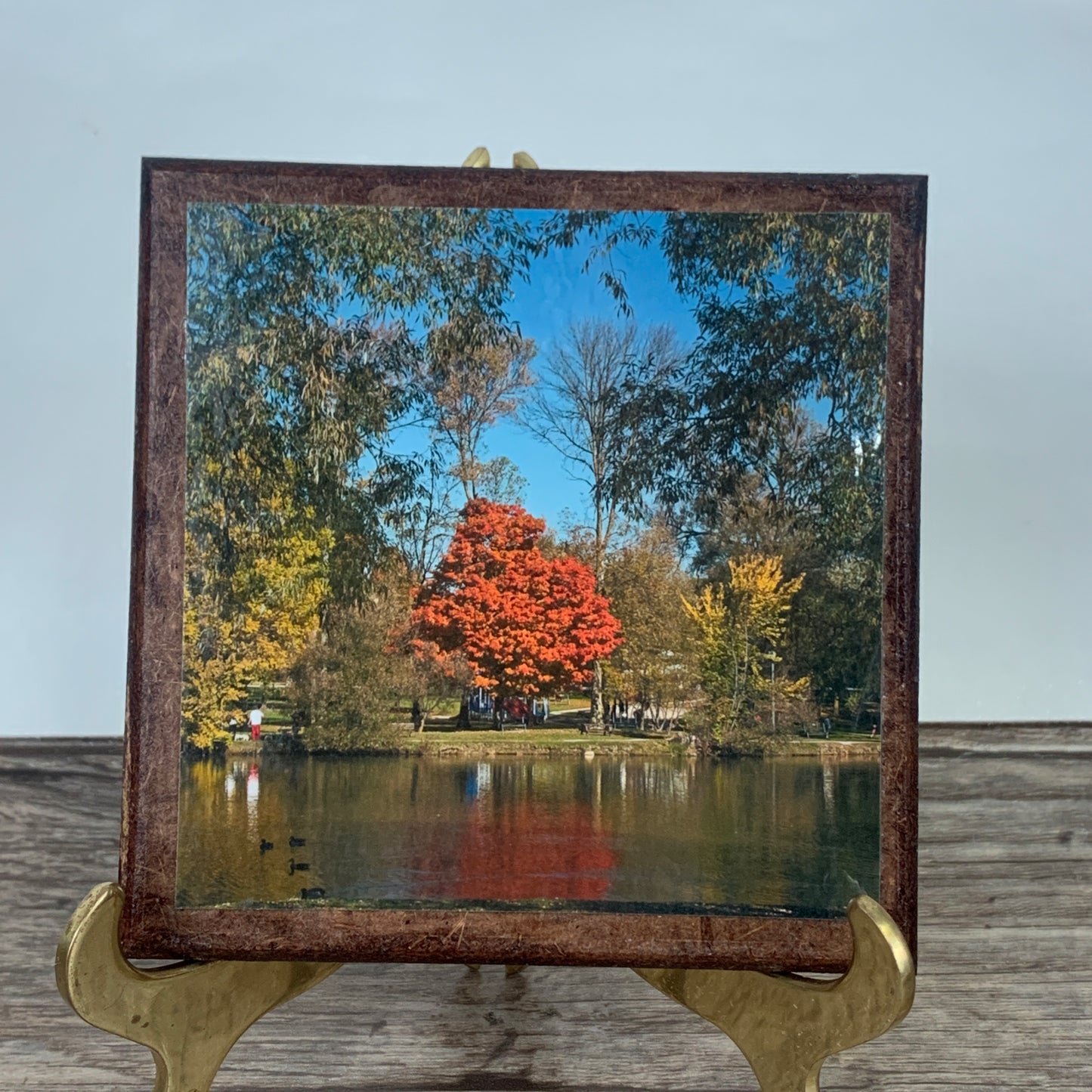 Set of 4 Cork Backed Coasters with Autumn Landscape Scenes