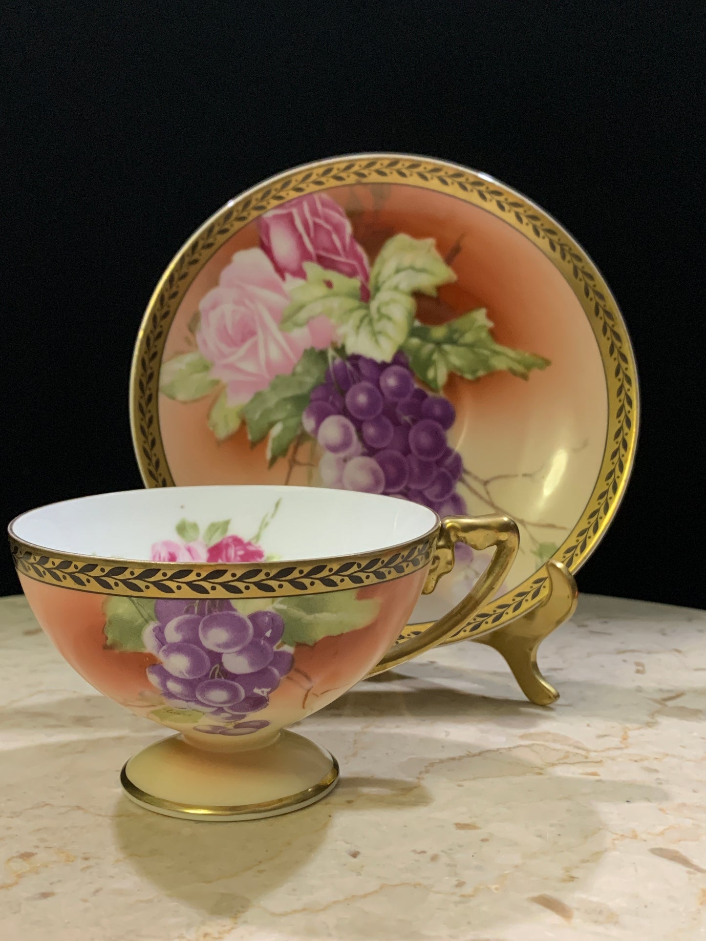Rosenthal Hand Painted Tea Cup and Saucer with Grape Pattern Bavaria China Teacup