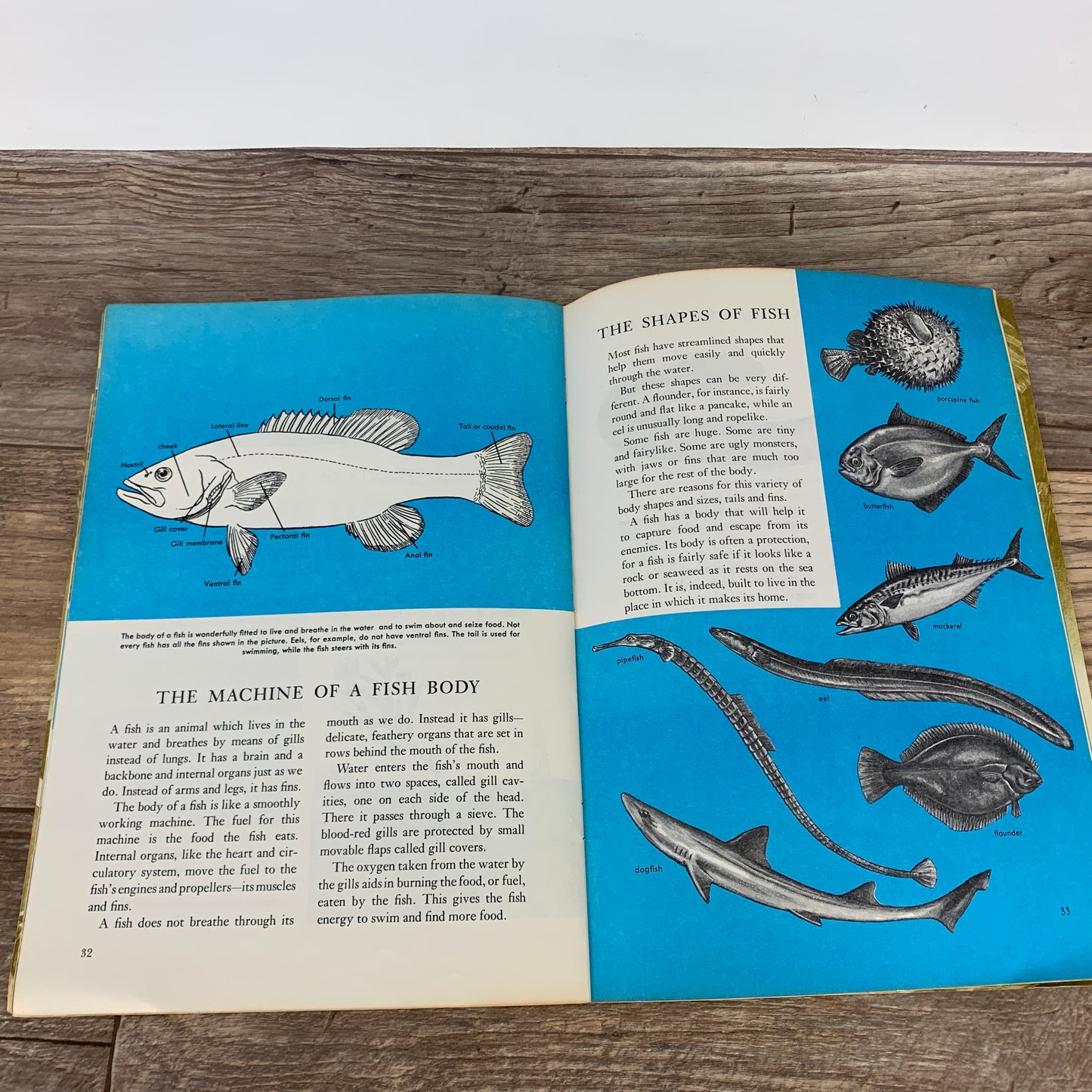 Vintage Golden Exploring Earth Book Oceanography, Underwater Exploration Vintage School Book