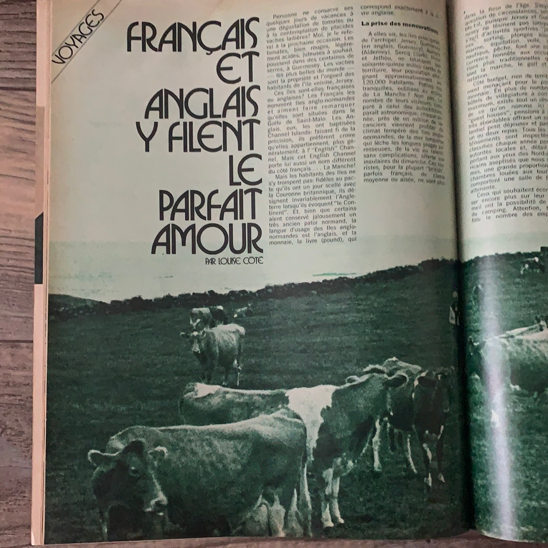 Vintage French Chatelaine Magazine August 1974