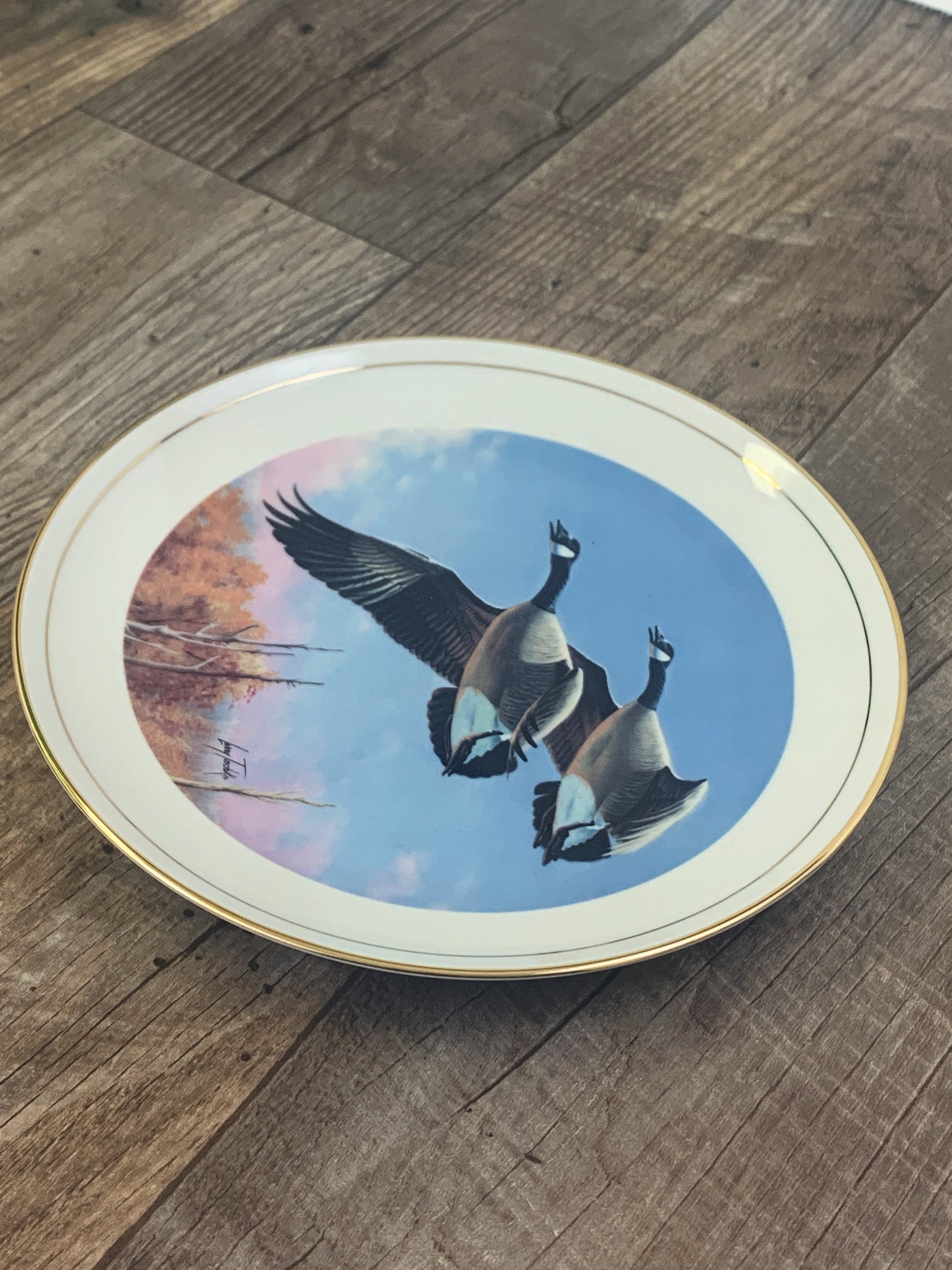 Ducks Unlimited 1987 Canada Geese Collector Plate Larry Toschik