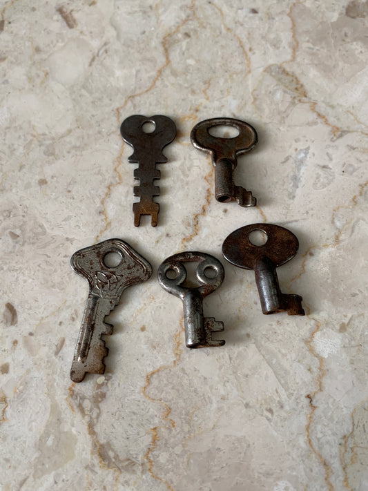 Antique Miniature Skeleton Keys