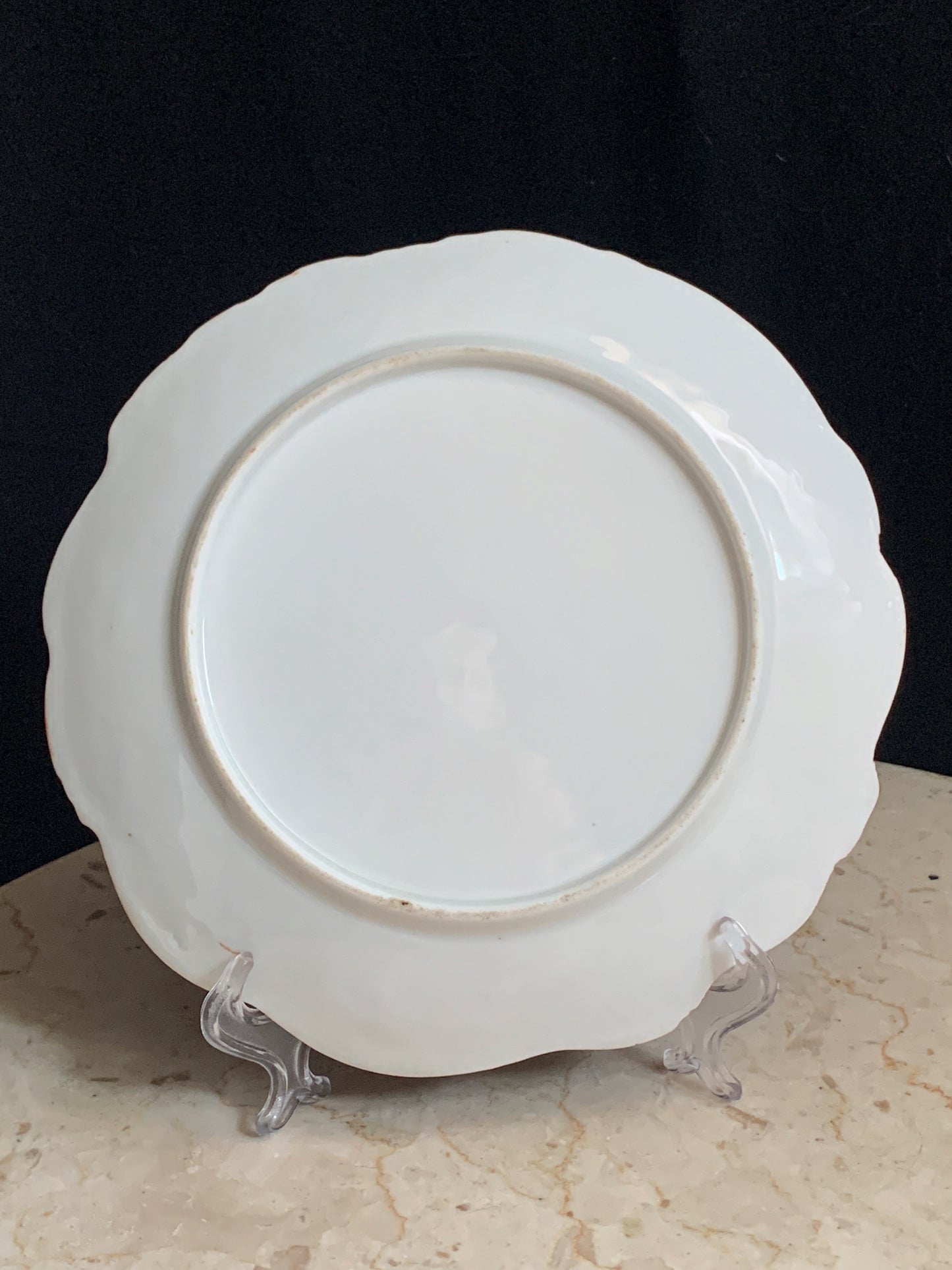 Antique Porcelain Plate